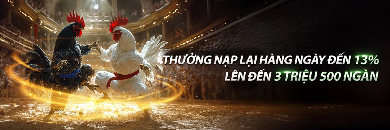 Đá gà trực tuyến sp8 game
